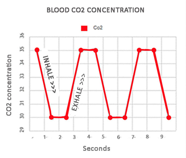 Blood co2 concentration