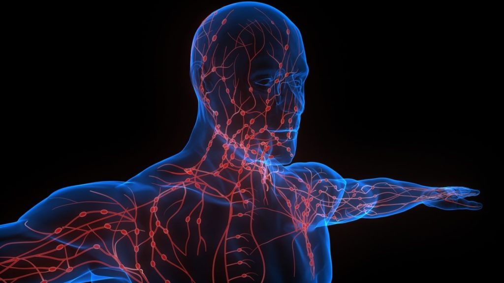 How to improve blood and lymphatic circulation