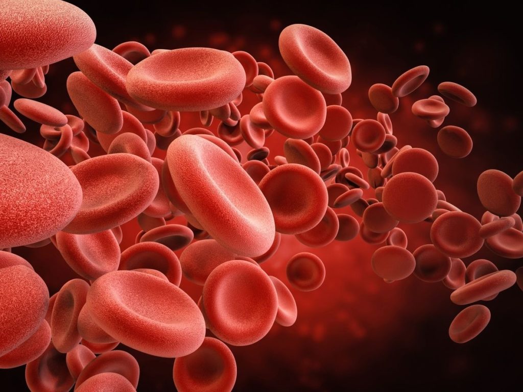 How to increase red blood cells