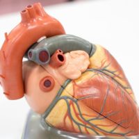 Liberation of the pericardium: how to soothe your heart?